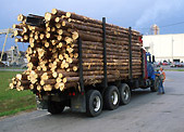 log truck